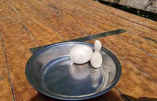 Kümesteki yumurtayı görünce neye uğradığını...