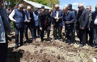 Kuru fasulye tohumları 1080 rakımda toprakla buluştu