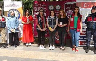 Kurumlar, kadına yönelik şiddete karşı seferber...