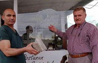 Kuşu öldü, veteriner hekime saldırdı