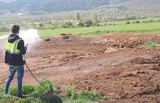 Kütahya’da ilaçlama sezonu başladı