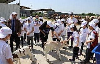 “Lider Çocuk Tarım Kampı” yapıldı