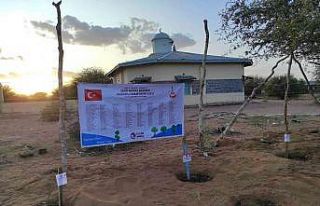 Lise öğrencilerinden Kenya’ya fidan desteği
