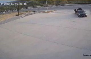 Lüks otomobille mazgalları çaldılar