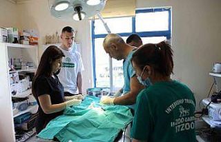 Makedon öğrenciler Antalya Hayvanat Bahçesi’nde...