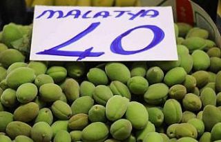 Malatya kayısısı çağlaları tezgahlardaki yerini...