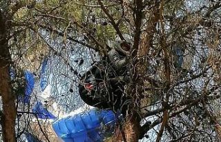 Manisa’da amatör paraşütçü ağaca asılı kaldı
