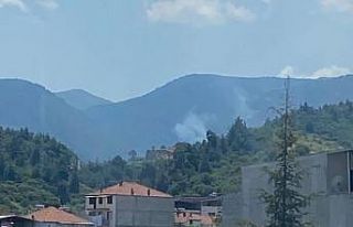 Manisa’da çıkan orman yangınında 1 hektar alan...