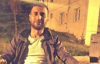 Mantar toplarken canından oldu