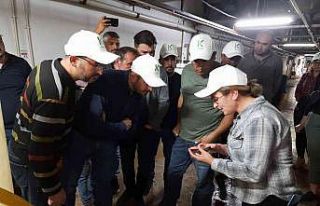 Mantar Üreticisilerine ışıklı tuzak, dezenfektan...