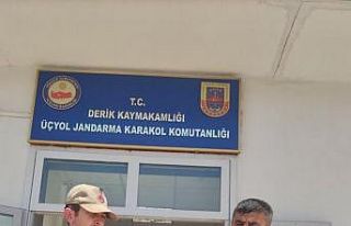 Mardin’de yaralı şahin koruma altına alındı