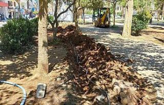 Mardin’de yer altındaki elektrik kablosunu çaldılar