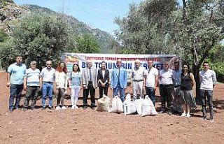 Marmaris’te yer fıstığında tohum takası gerçekleşti