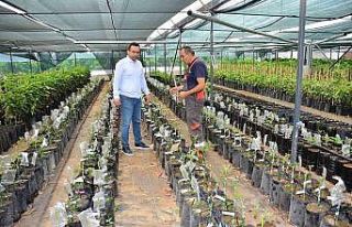 MATSO Başkanı Güngör: “İhracat yapan firmalarımızı...