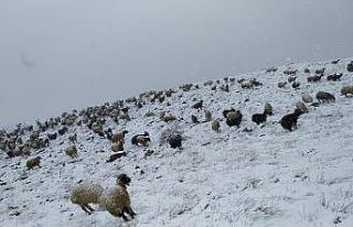 Mayıs ayında kar esareti