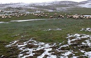 Mayıs ayında kar sürprizi