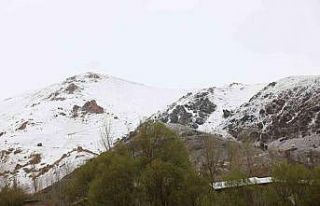 Mayıs ayında kar yağışı