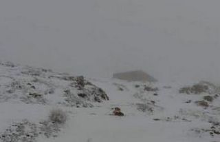 Mayıs ayında Nemrut’ta kar sürprizi