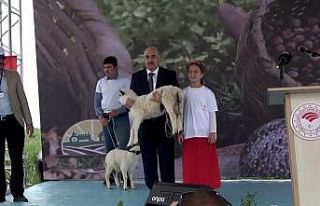 Mera Islahı ve Amenajman Projesi açılışı