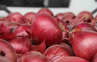 Mersin ve Adana’nın enflasyonu Türkiye enflasyonunu...