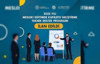 Mesleki Eğitimde Kapasite Geliştirme Teknik Destek...