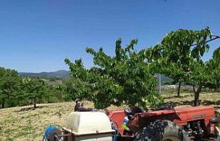 Meyve üreticilerine ilaçlama uyarısı