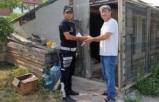 Misafir diye evine aldığı adam 8 güvercinini çaldı