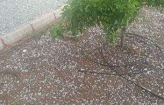 Misket büyüklüğünde dolu yağdı