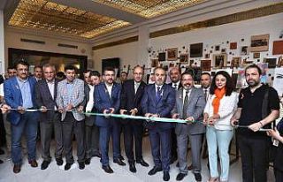 MS duyarlılığı sergisi