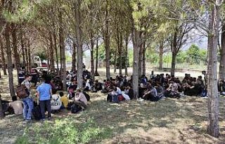 Muğla’da 237 göçmenin yakalandığı operasyonda...