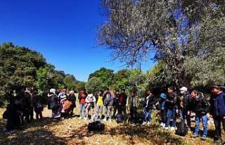 Muğla’da 55 düzensiz göçmen yakalandı