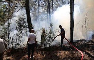 Muğla’da orman yangını