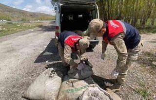 Muradiye’de kaçak avlanmış 450 kilo balık ele...