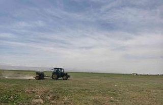 Niğde’de mera alanları yeşerecek