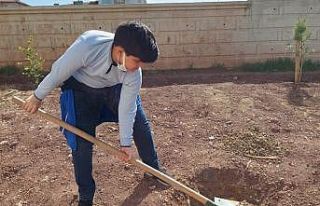 Öğrenciler ‘e-Twinning’ projesi ile fidan dikmeye...