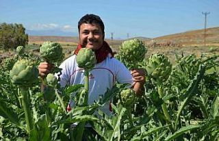 Öğretim üyesi memleketi Hatay’da ilk defa yetiştirdi