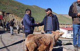 Oltu hayvan pazarında satışlar devam ediyor