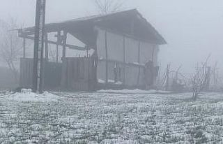 Ordu’da mayıs ayında kar yağışı