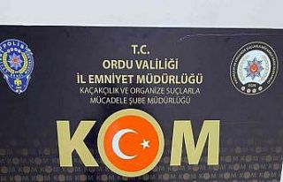 Ordu’da nitelikli yağma soruşturmasında sahte...