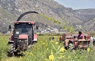 Ören Mahallesinde Tarla Günü