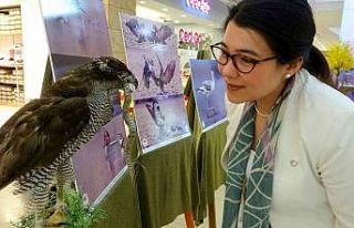 Osmaniye’de ‘Göçler Güç Olmasın’ fotoğraf...