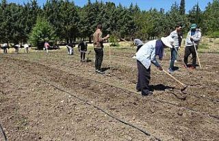 (Özel) Kapıdaki gıda krizi için çözüm üretimden...