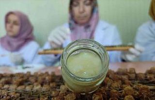 (Özel) Kilosu 10 bin liradan satılıyor...Siparişlere...