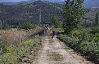 Pamukkale’de çiftçilere yol desteği
