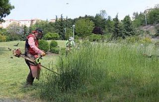 Park bahçeler de yoğun çalışma