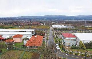 Peyzaj ve süs bitkiciliği için dev adım: 179 dekar...