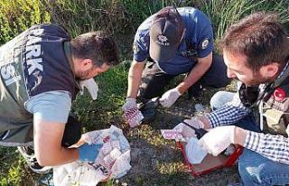 Polis araçtan atılan uyuşturucu hapları böyle...