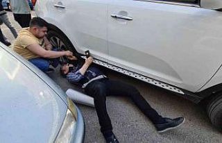 Polis ekiplerinden kedi kurtarma operasyonu