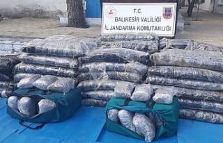 Polis, zehir tacirlerine göz açtırmıyor