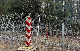 Polonya-Belarus sınırında göçmen krizi